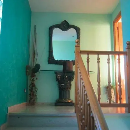 فيلة Tito كونيت